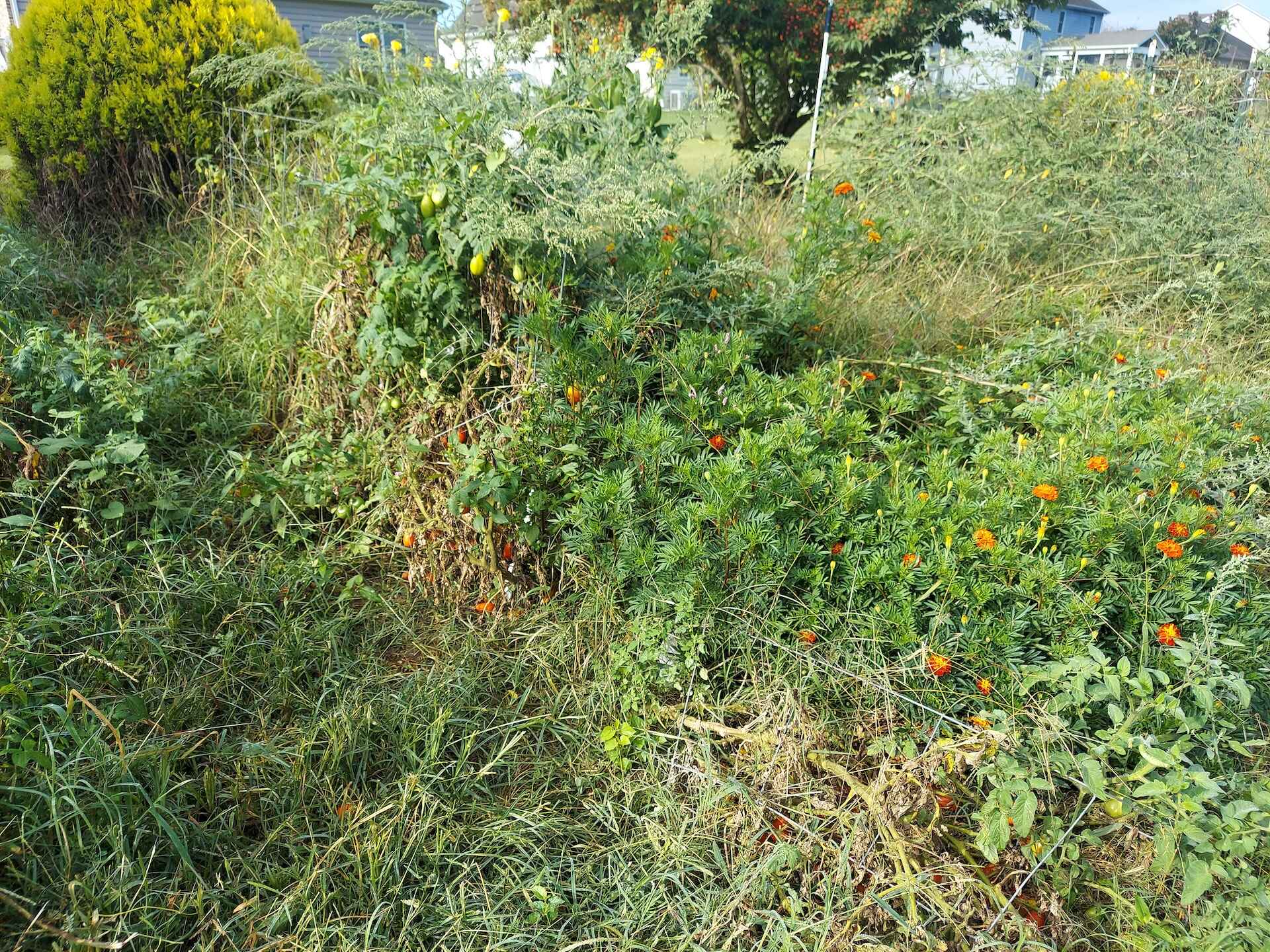 A short written description about the image. Good for accessibility, AL machine learning and search engine optimisation.