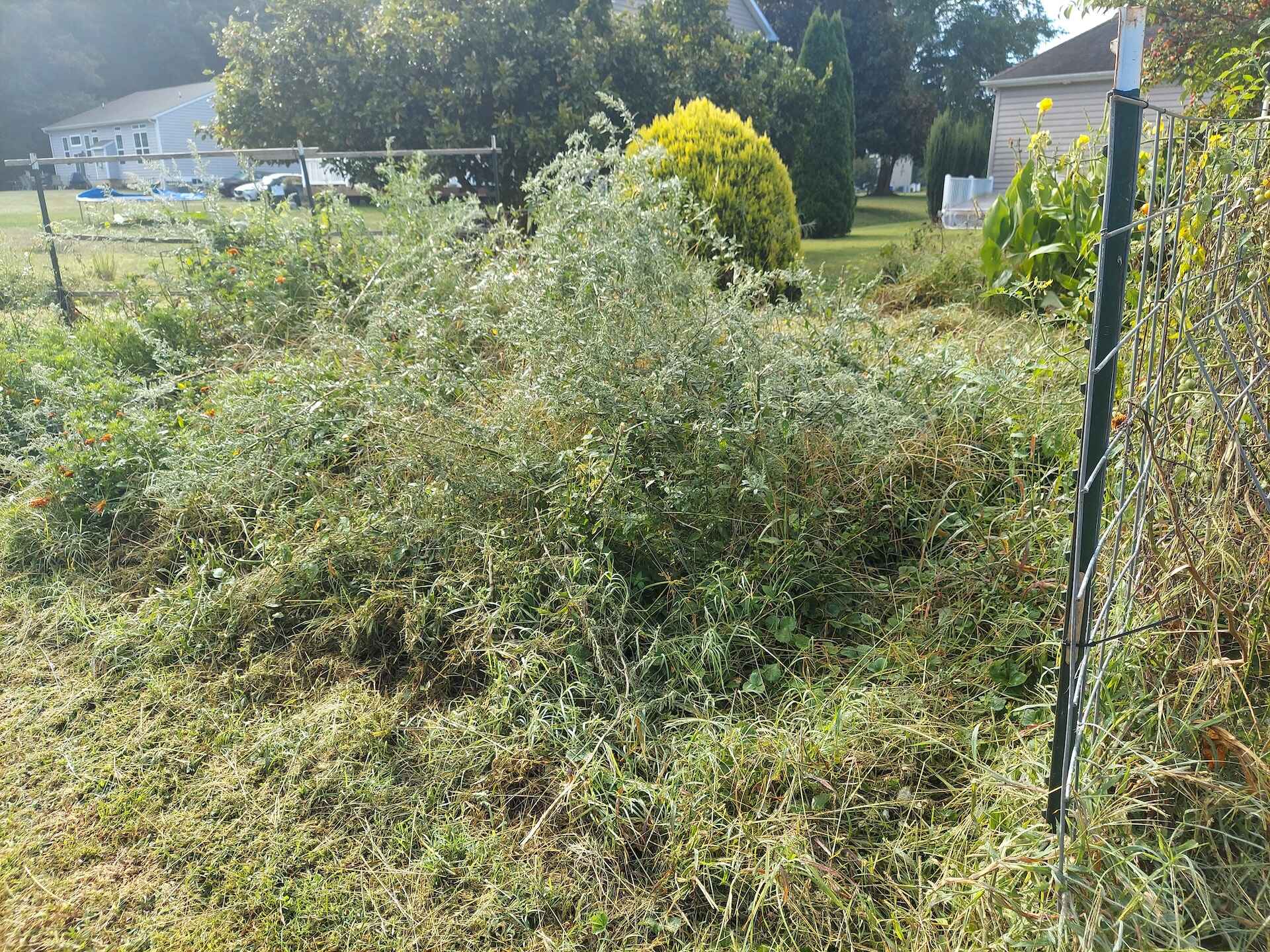 A short written description about the image. Good for accessibility, AL machine learning and search engine optimisation.