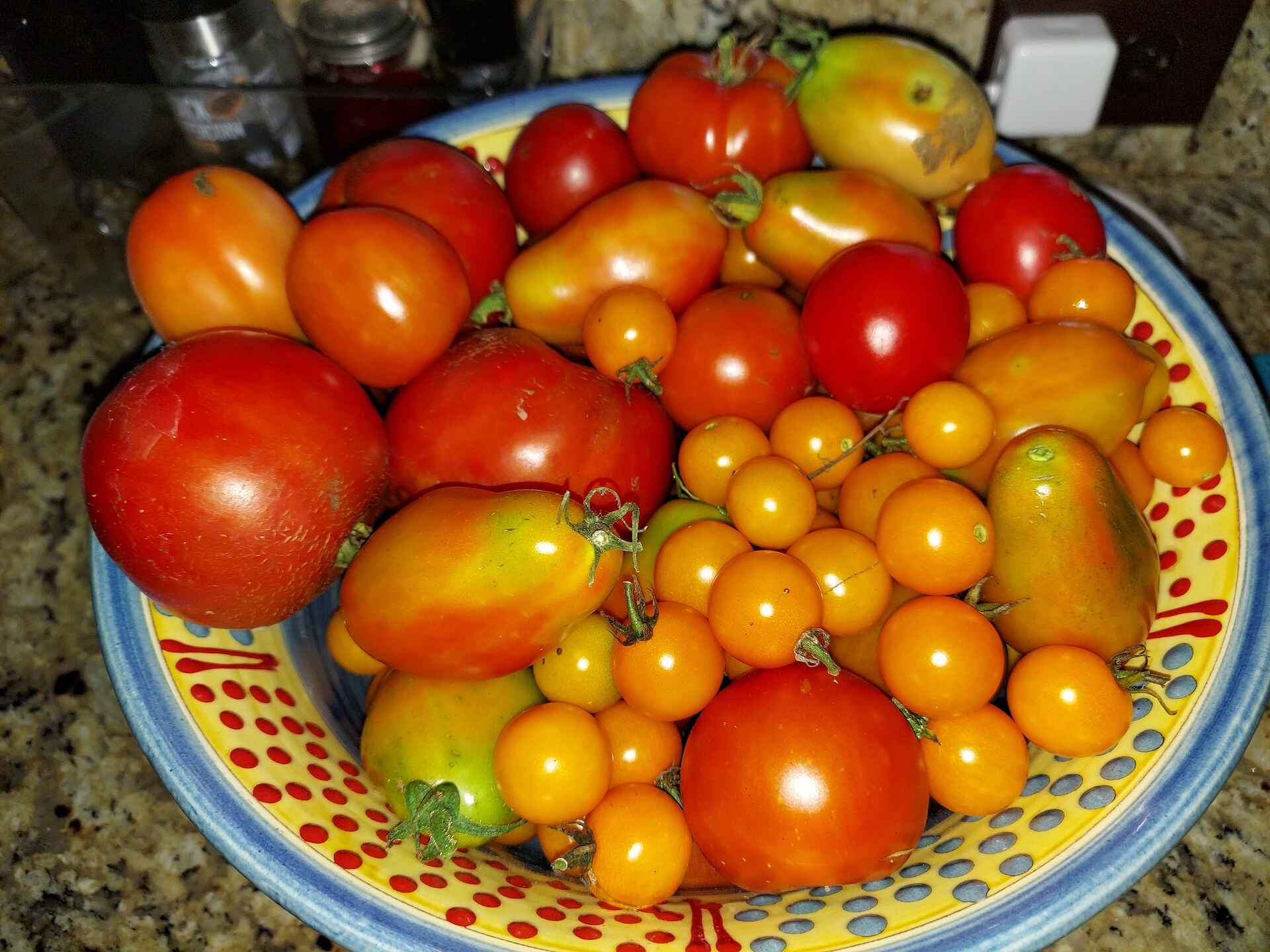 A short written description about the image. Good for accessibility, AL machine learning and search engine optimisation.