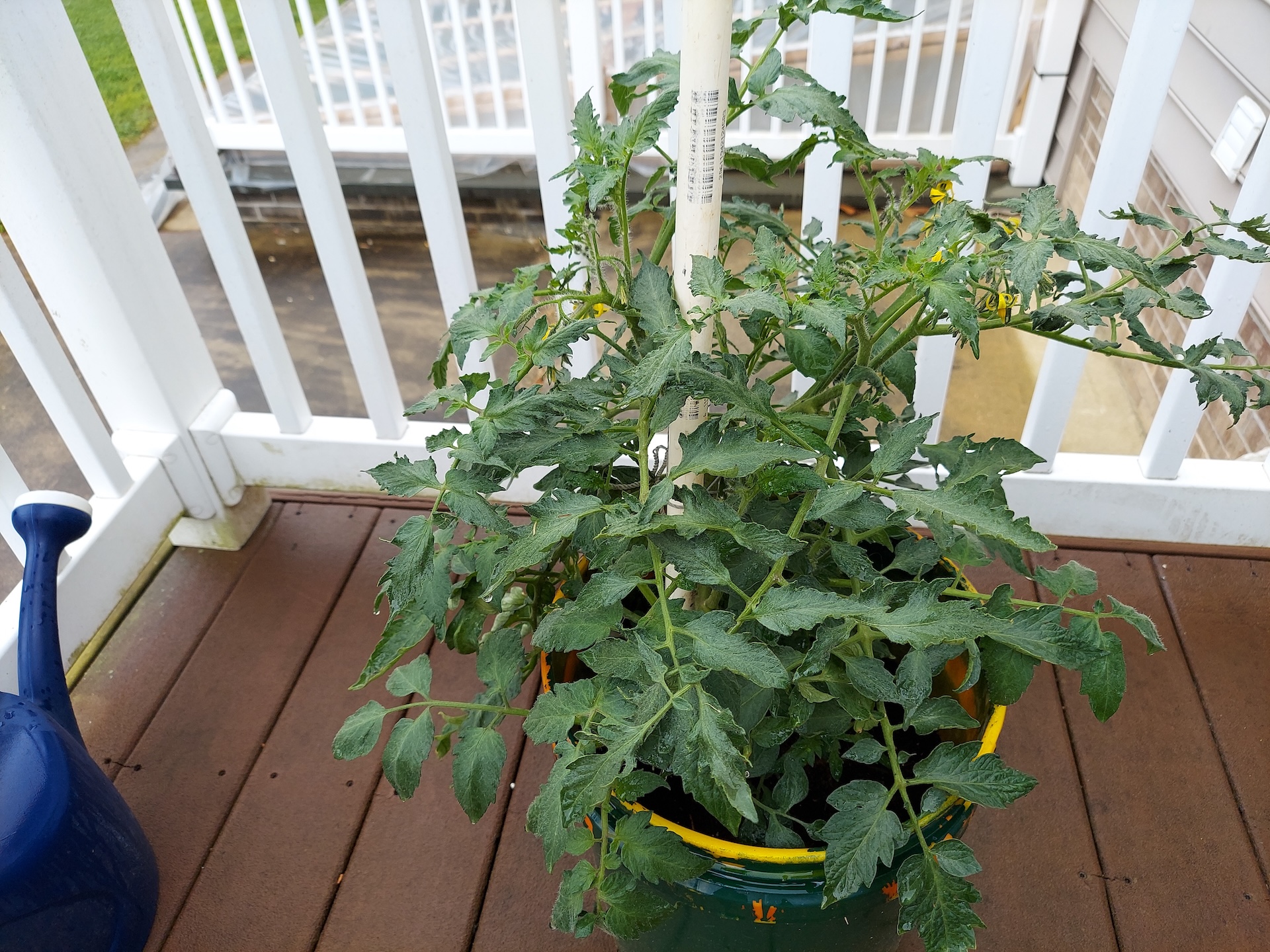 A short written description about the image. Good for accessibility, AL machine learning and search engine optimisation.