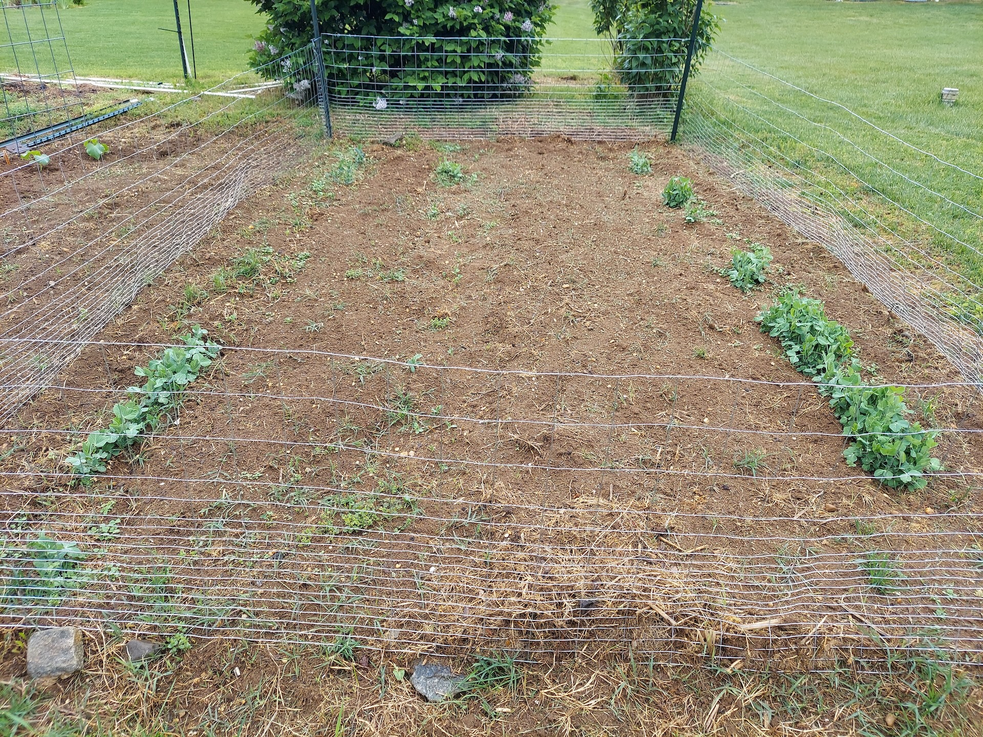 A short written description about the image. Good for accessibility, AL machine learning and search engine optimisation.