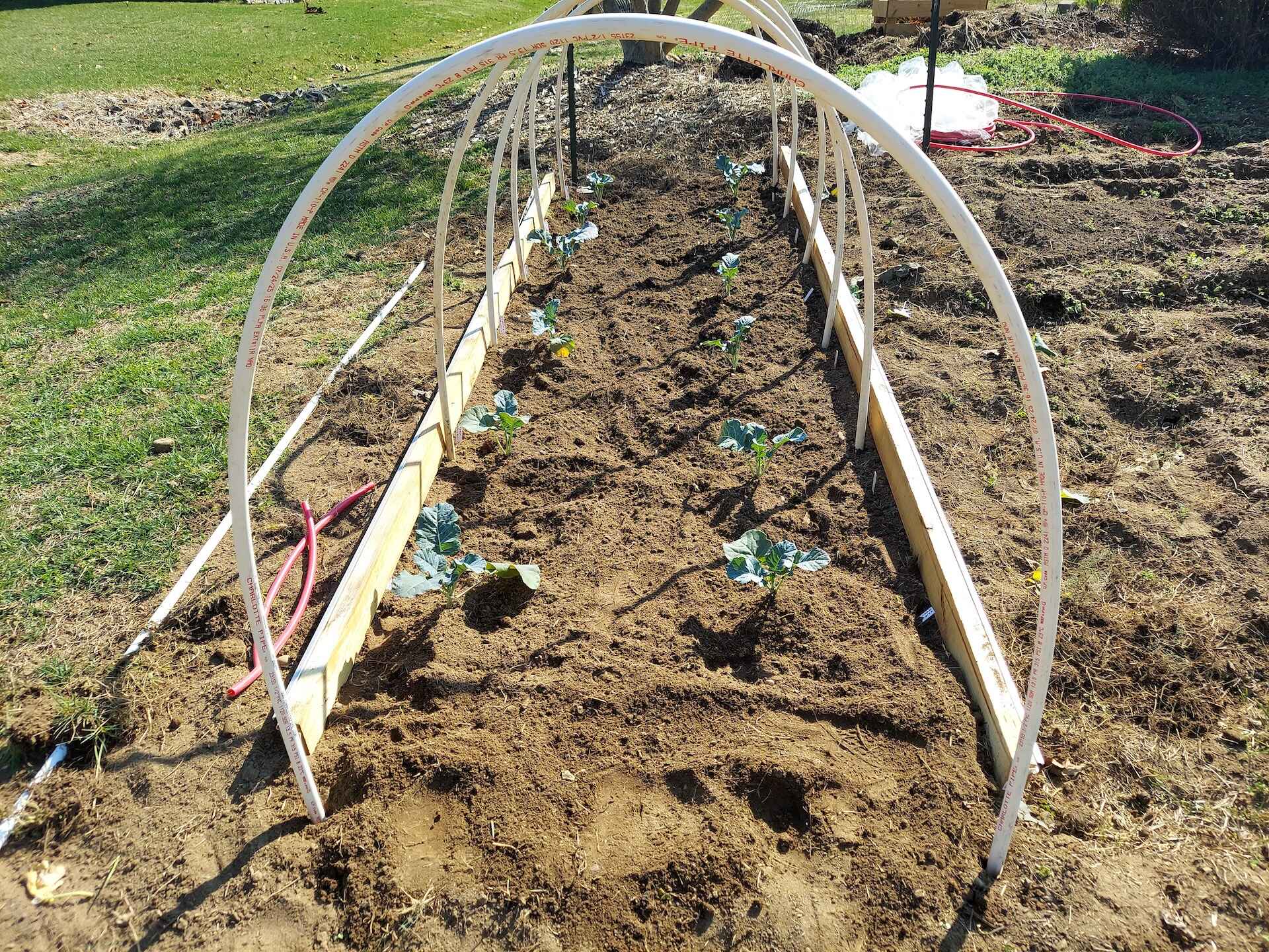 A short written description about the image. Good for accessibility, AL machine learning and search engine optimisation.