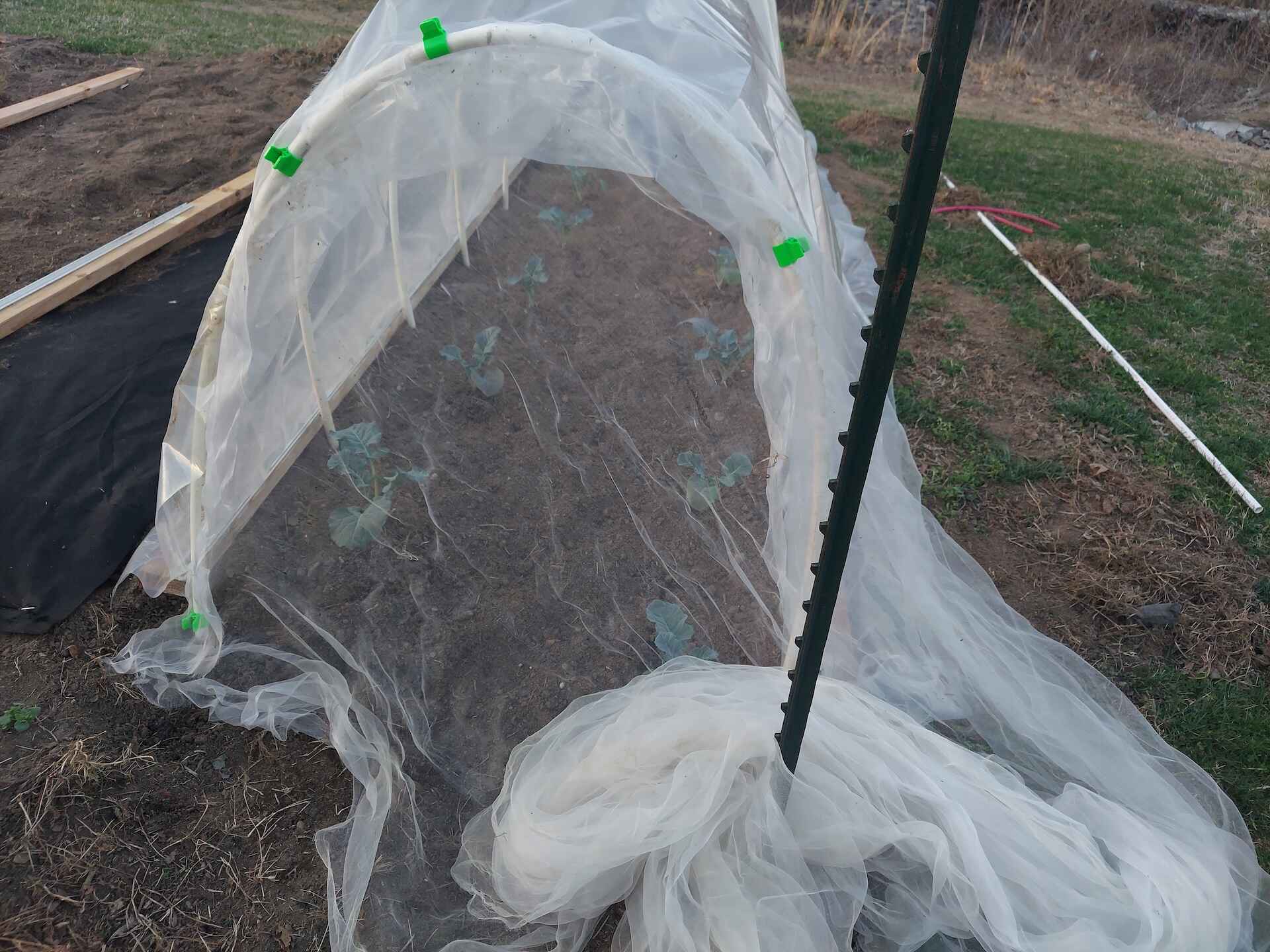 A short written description about the image. Good for accessibility, AL machine learning and search engine optimisation.