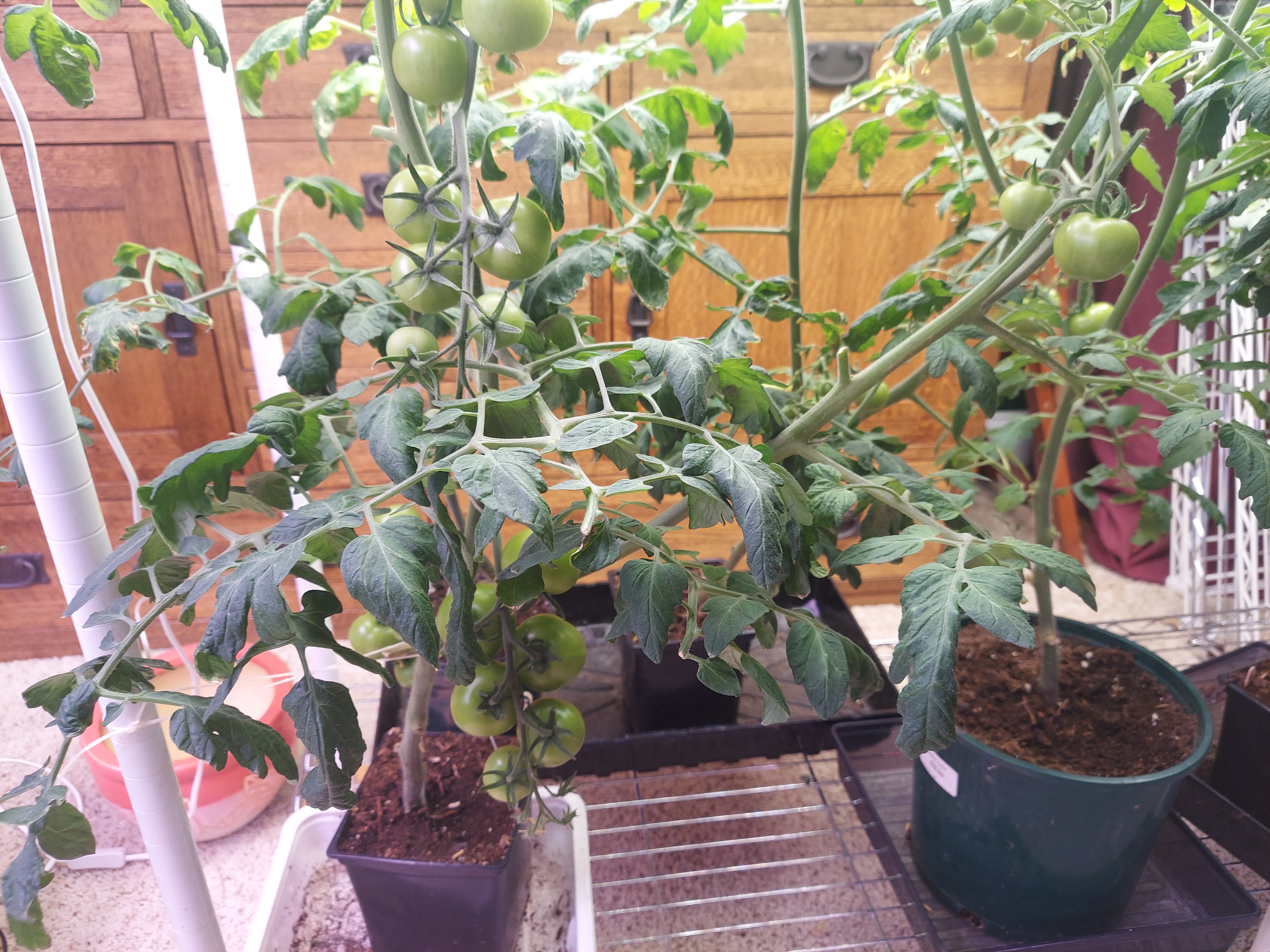 A short written description about the image. Good for accessibility, AL machine learning and search engine optimisation.